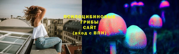 ПСИЛОЦИБИНОВЫЕ ГРИБЫ Киренск