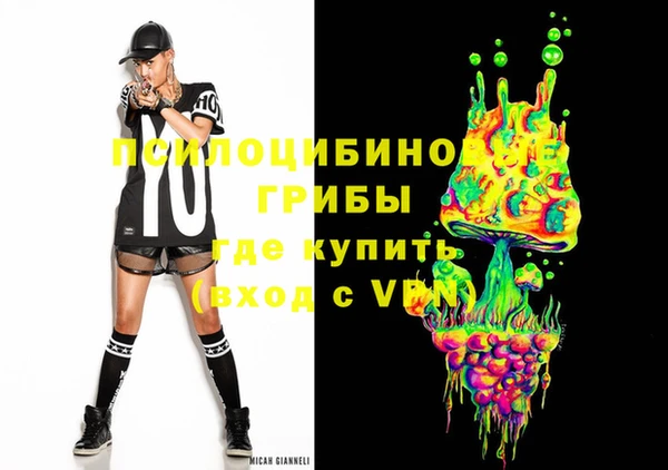 ПСИЛОЦИБИНОВЫЕ ГРИБЫ Киренск