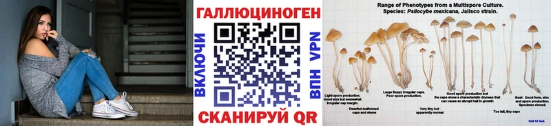Купить  Зарайск  Псилоцибиновые грибы GOLDEN TEACHER 