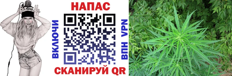 Купить где  Зарайск  МАРИХУАНА семена 